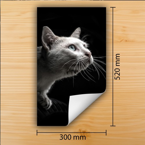 Mata ochronna na kuchenkę indukcyjną 30x52 cm - Mata antypoślizgowa na blat - Płyta ochronna zwijana - Dekoracja do kuchni - Więcej miejsca - Kot Czarna