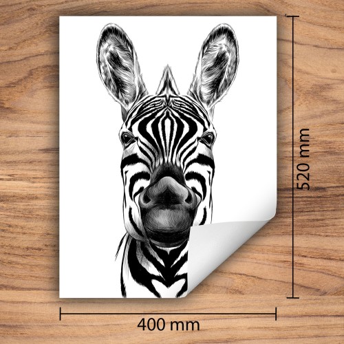 Mata ochronna na kuchenkę indukcyjną 40x52 cm - Mata antypoślizgowa na blat - Płyta ochronna zwijana - Dekoracja do kuchni - Więcej miejsca - Zebra biała
