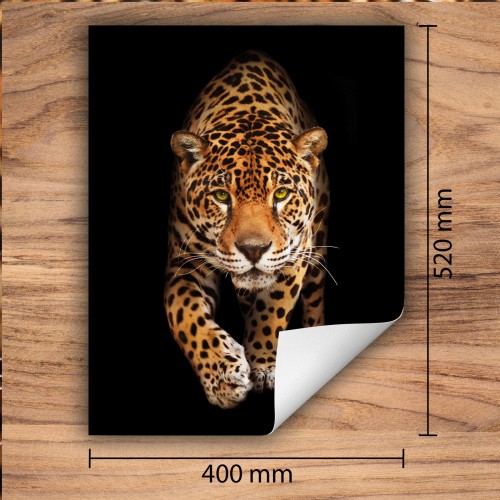 Mata ochronna na kuchenkę indukcyjną 40x52 cm - Mata antypoślizgowa na blat - Płyta ochronna zwijana - Dekoracja do kuchni - Więcej miejsca - Czarna Jaguar