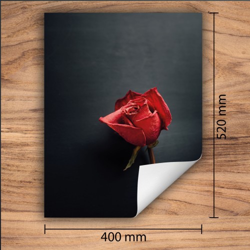 Mata ochronna na kuchenkę indukcyjną 40x52 cm - Mata antypoślizgowa na blat - Płyta ochronna zwijana - Dekoracja do kuchni - Więcej miejsca - Róża Czerwona
