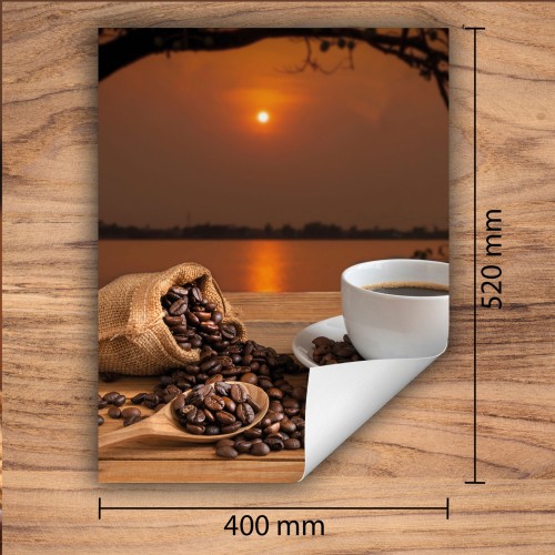 4f987d3c814b45ade9e2ddf97108d452