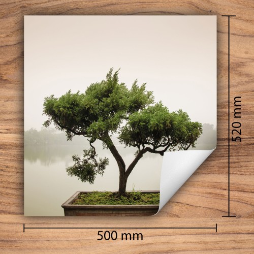 Mata ochronna na kuchenkę indukcyjną 50x52 cm - Mata antypoślizgowa na blat - Płyta ochronna zwijana - Dekoracja do kuchni - Więcej miejsca - Drzewo Zielona