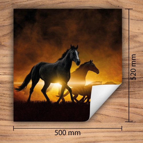Mata ochronna na kuchenkę indukcyjną 50x52 cm - Mata antypoślizgowa na blat - Płyta ochronna zwijana - Dekoracja do kuchni - Więcej miejsca - Konie Pomarańcz