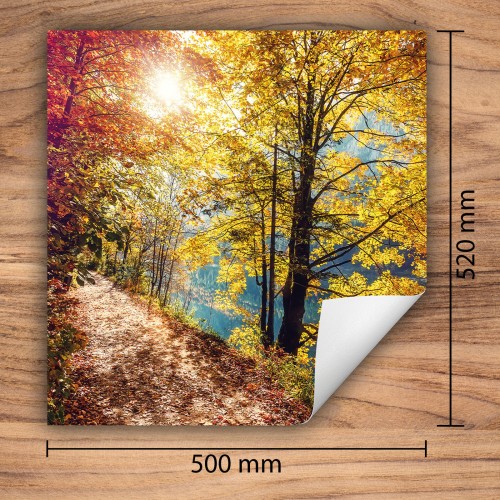 Mata ochronna na kuchenkę indukcyjną 50x52 cm - Mata antypoślizgowa na blat - Płyta ochronna zwijana - Dekoracja do kuchni - Więcej miejsca - Drzewa Jesień