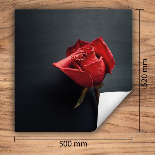 Mata ochronna na kuchenkę indukcyjną 50x52 cm - Mata antypoślizgowa na blat - Płyta ochronna zwijana - Dekoracja do kuchni - Więcej miejsca - Róża Czerwona