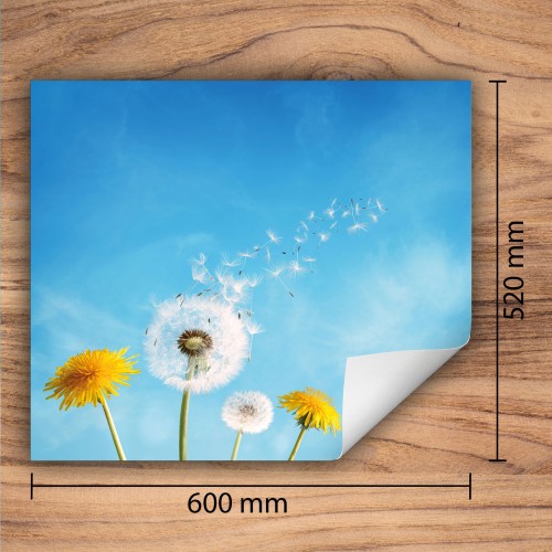 d3097b3883705ea281c5d2c0cea86714