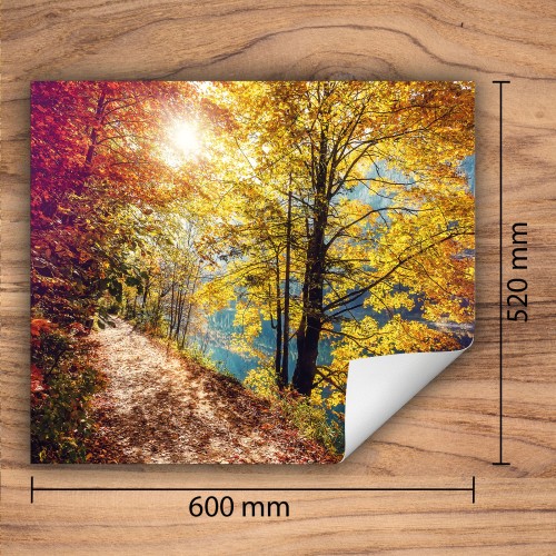 Mata ochronna na kuchenkę indukcyjną 60x52 cm - Mata antypoślizgowa na blat - Płyta ochronna zwijana - Dekoracja do kuchni - Więcej miejsca - Drzewa Jesień