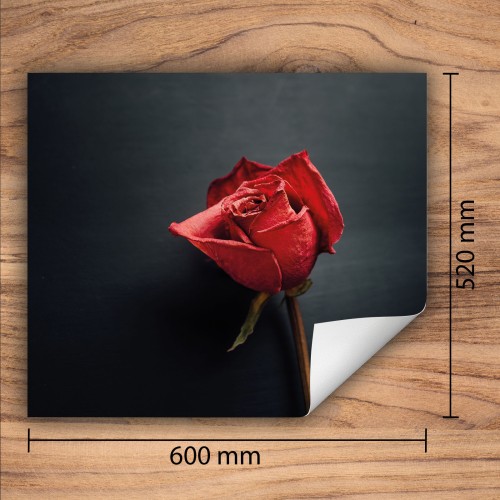 Mata ochronna na kuchenkę indukcyjną 60x52 cm - Mata antypoślizgowa na blat - Płyta ochronna zwijana - Dekoracja do kuchni - Więcej miejsca - Róża Czerwona