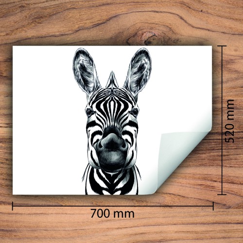 Mata ochronna na kuchenkę indukcyjną 70x52 cm - Mata antypoślizgowa na blat - Płyta ochronna zwijana - Dekoracja do kuchni - Więcej miejsca - Zebra biała