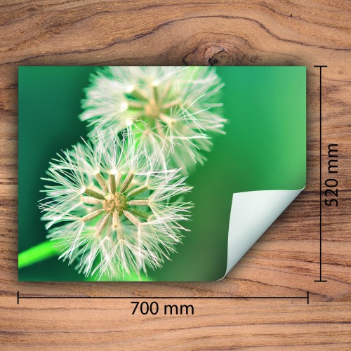 Mata ochronna na kuchenkę indukcyjną 70x52 cm - Mata antypoślizgowa na blat - Płyta ochronna zwijana - Dekoracja do kuchni - Więcej miejsca - Kwiaty Turkusowa