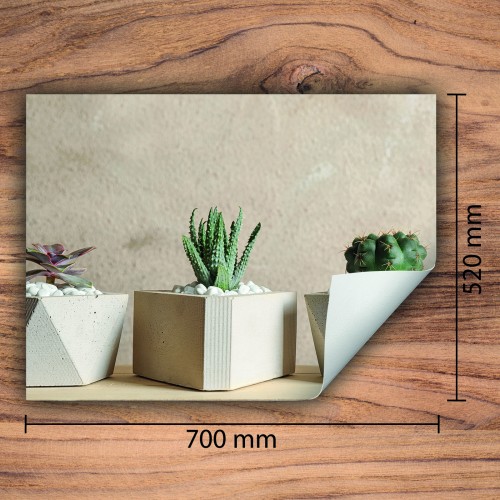 Mata ochronna na kuchenkę indukcyjną 70x52 cm - Mata antypoślizgowa na blat - Płyta ochronna zwijana - Dekoracja do kuchni - Więcej miejsca - Beżowa kaktus