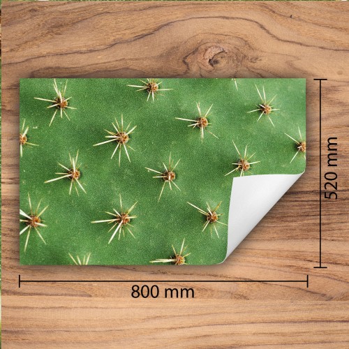 Mata ochronna na kuchenkę indukcyjną 80x52 cm - Mata antypoślizgowa na blat - Płyta ochronna zwijana - Dekoracja do kuchni - Więcej miejsca - Kaktus Zielona