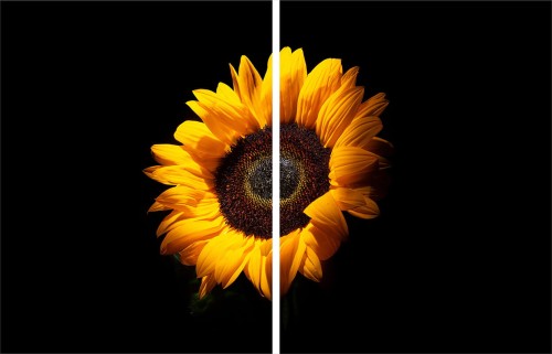 e7cc4c3658131c9e374d86d4dcb28200
