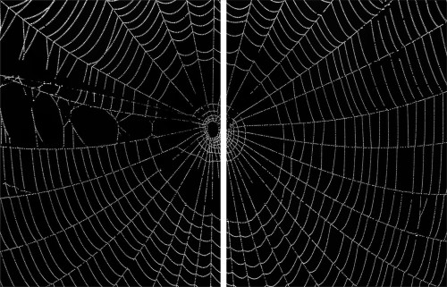 542c1f053161bb52b31863dfafba29b7