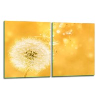 SZKLANA DESKA DO KROJENIA ZESTAW 2x40x52 50856