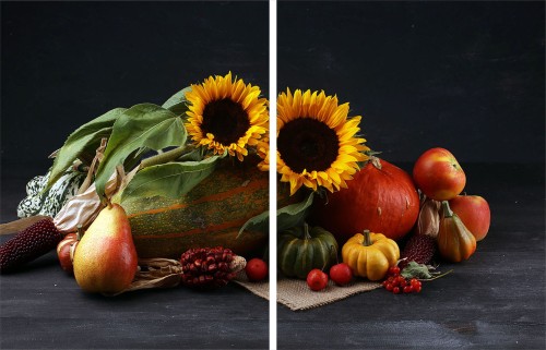 f36adcf754d57139dd89fa81109fbef1