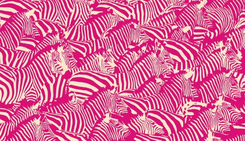 c800a6ac01f1fce0d4a128026ea2b089
