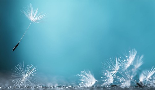 fd520d1d5ef1f4853a406586e4f359e2