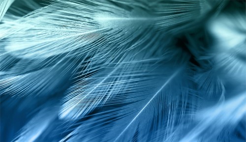 f1f07d402e4d9dcf88c69b66f548e7cb