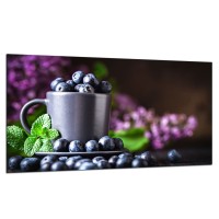 SZKLANA PŁYTA OCHRONNA NA KUCHENKĘ 90x52 100801