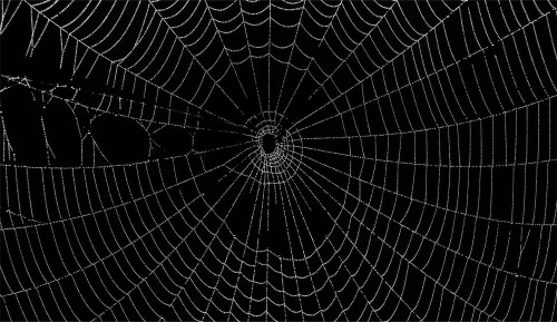 9b55fd3f4032347c652be694c42443b1