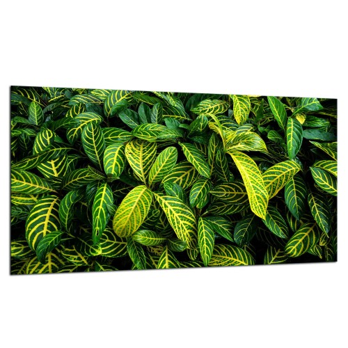 93a6c34f2be3f98abcc8777a4d83ec18