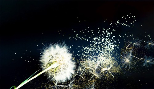 660da8ed3e55d3ae1302fc7d4a7973f5