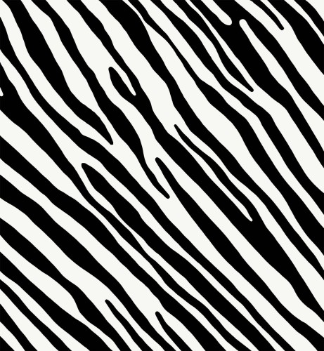 27a14648a076c9d4293d7d2e7053112f