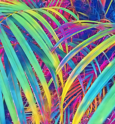 bd967925a43253066e4cf04d94589724