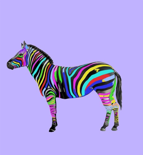 c64e53e5f3f03b20ef545eee50a08021