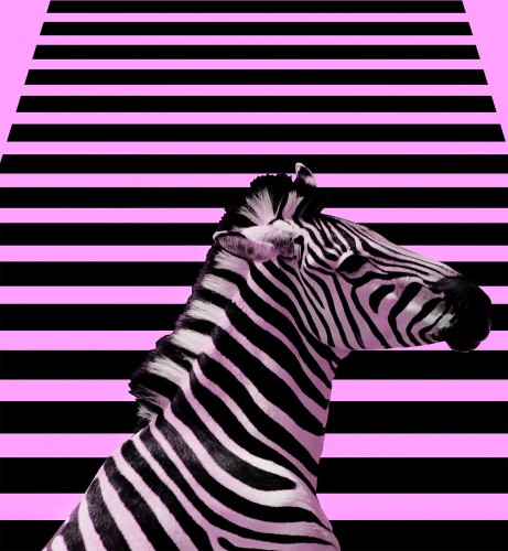 ef32488bb4745502a76a69ce62132d71