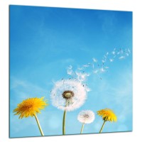 SZKLANA PŁYTA OCHRONNA NA KUCHENKĘ 60x65 70306