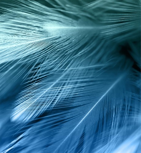 9d7ef54c3aa4e11a7a4dc6b948183a4e