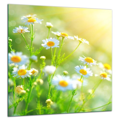 aae870f90be8a114a308c077bc16ddd1