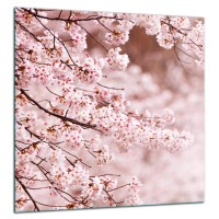 SZKLANA PŁYTA OCHRONNA NA KUCHENKĘ 60x65 70566