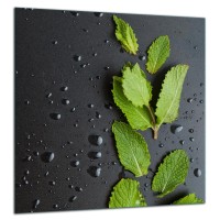 SZKLANA PŁYTA OCHRONNA NA KUCHENKĘ 60x65 70641