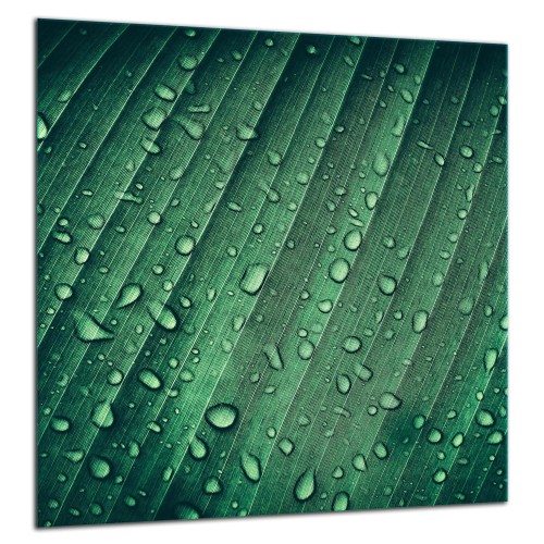 ab7d24cb2f0c0c1713419c99c250a77b