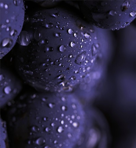 1dfd2d274b095a9b4c359f8b42d4f16b