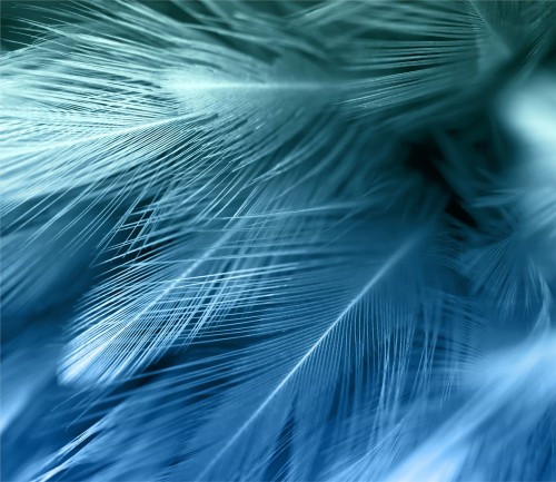 cef3b03c8df91a4bc24830167bf16b97
