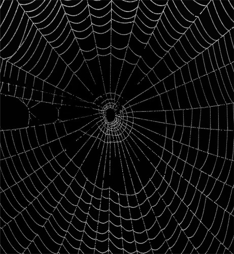 4c7a384e44cec98d7b0979c455ef141c