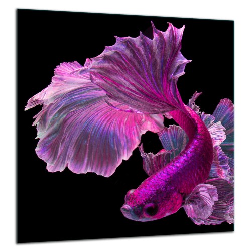 SZKLANA PŁYTA OCHRONNA NA KUCHENKĘ 60x65 70888