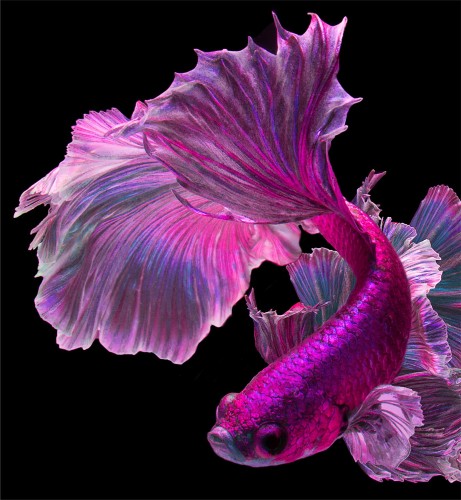 4f1d255f43cd27aff05b7b03c32307f8