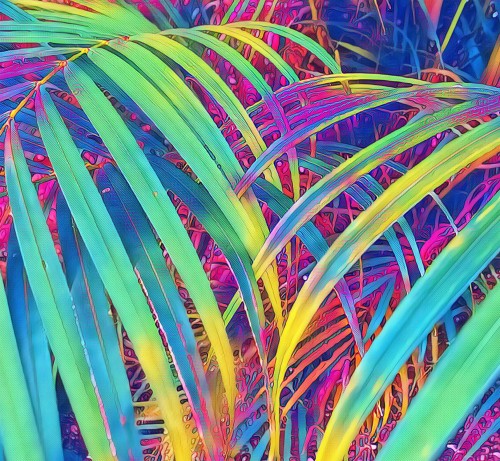 e979b8e9e0ad1ffe51548c6aa2a1c4e9