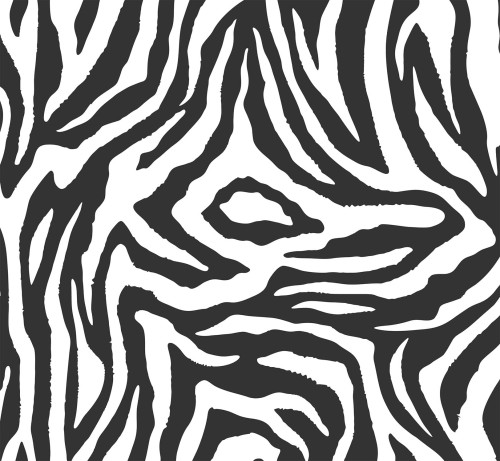 24b9c0e3954008afde7c2c026e53b507