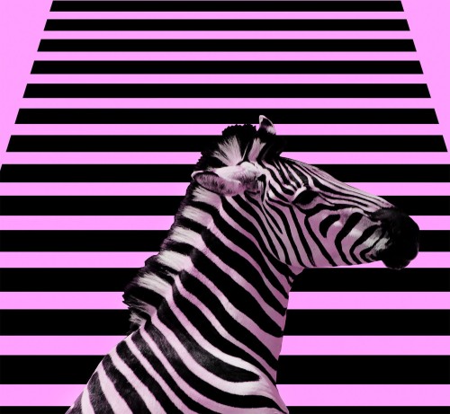 e885667a613f2f9619653eac1da53989
