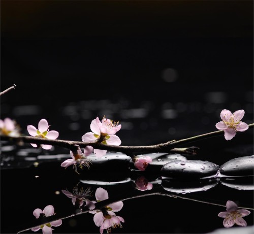 9498f5ceed374f749ff6e9c9621055f9