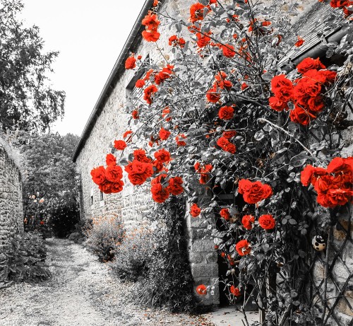 19946a2a8b20dc83dbd16a3f514b46a0
