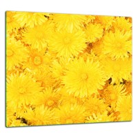 SZKLANA PŁYTA OCHRONNA DO KUCHNI 65x60