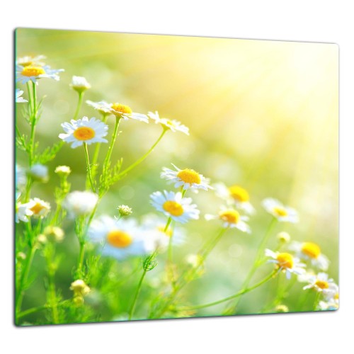 SZKLANA PŁYTA OCHRONNA DO KUCHNI 65x60