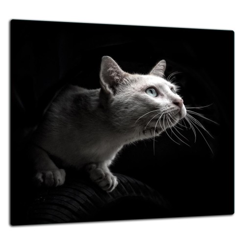 SZKLANA PŁYTA OCHRONNA DO KUCHNI 65x60